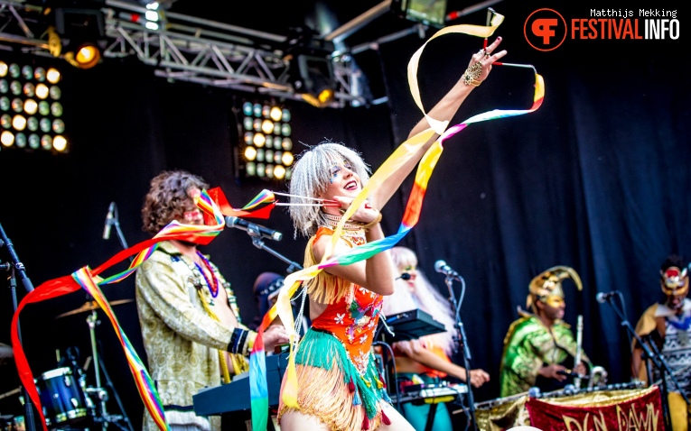 Foto Golden Dawn Arkestra op Zomerparkfeest 2017 - Zondag