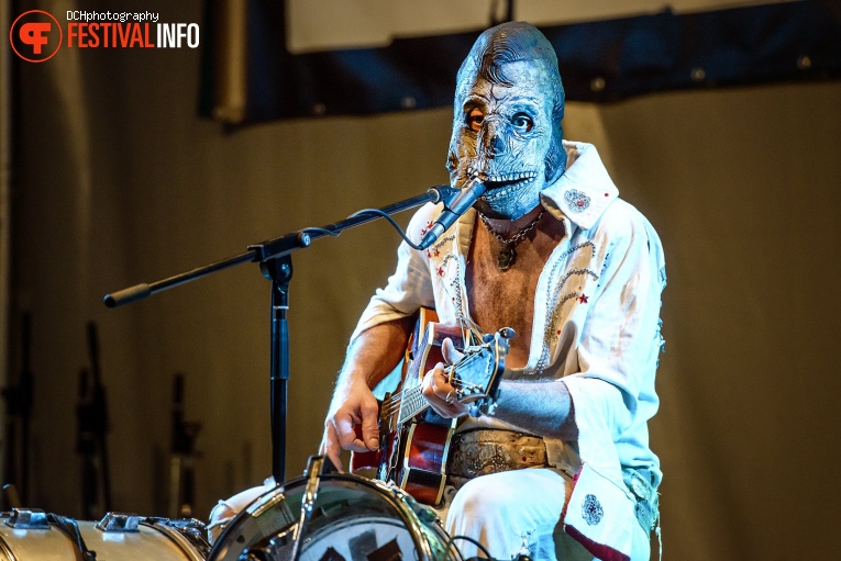 Dead Elvis op Festival 't Zeeltje 2017 foto