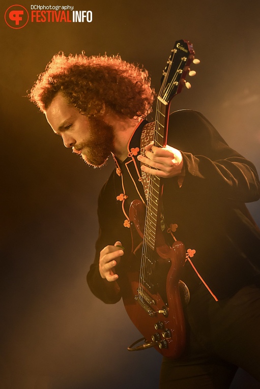 Festival 't Zeeltje 2017 foto