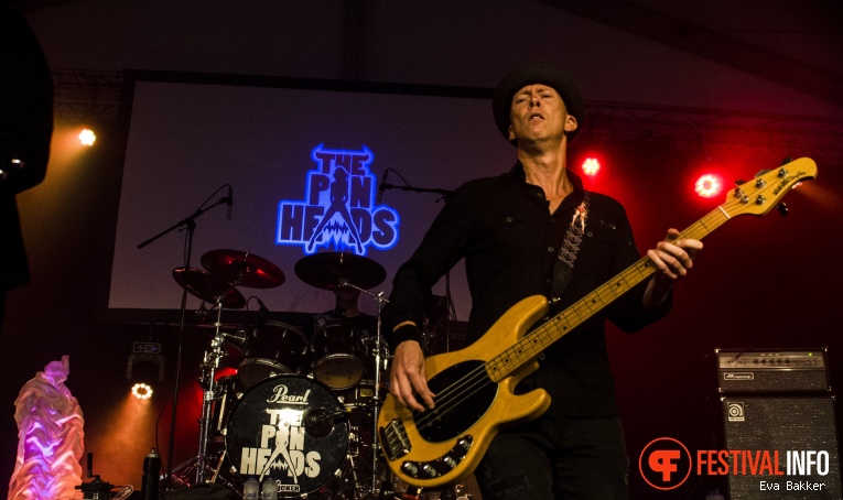 The Pinheads op Woerdense Vakantieweek 2017 foto