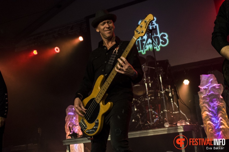 The Pinheads op Woerdense Vakantieweek 2017 foto