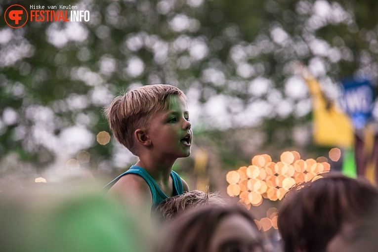 Stöppelhaene 2017 - Zondag foto