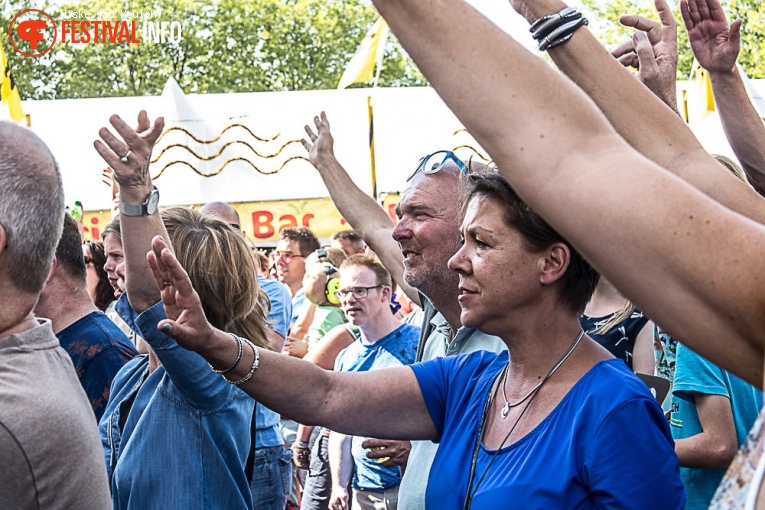 Stöppelhaene 2017 - Zondag foto