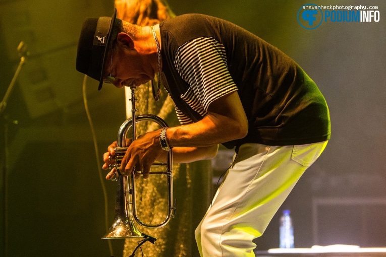 Tom Browne op Tom Browne - 13/09 - Boerderij foto