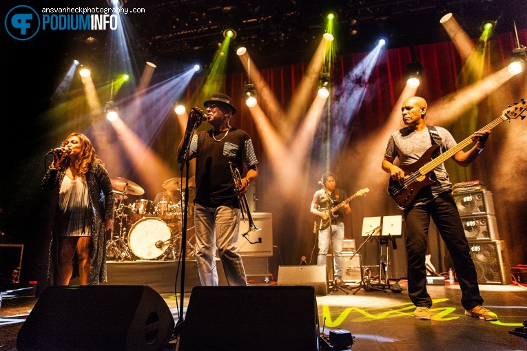 Tom Browne op Tom Browne - 13/09 - Boerderij foto