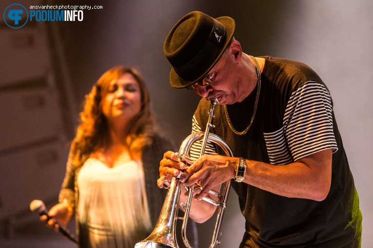 Tom Browne op Tom Browne - 13/09 - Boerderij foto
