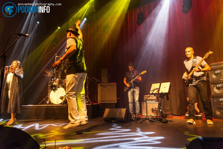 Tom Browne op Tom Browne - 13/09 - Boerderij foto