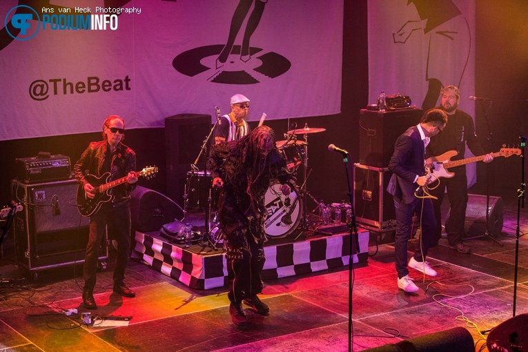 The Beat op The Beat / The Selecter - 27/10 - Melkweg foto