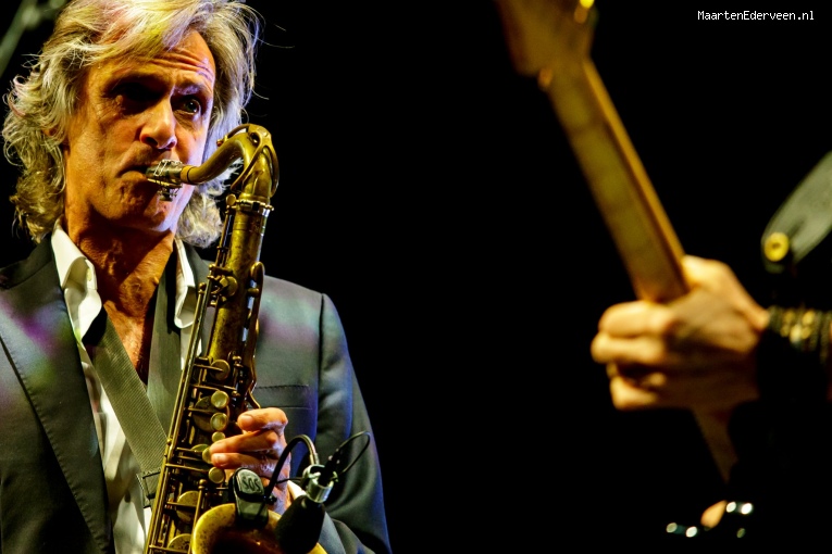 Foto The Dire Straits Experience op The Dire Straits - 5/11 - Paard