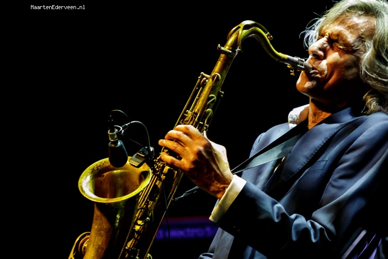 Foto The Dire Straits Experience op The Dire Straits - 5/11 - Paard