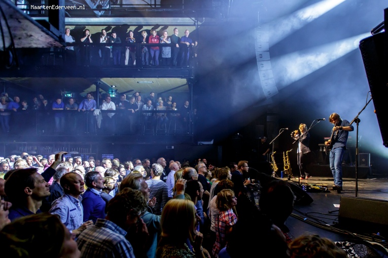 Foto The Dire Straits Experience op The Dire Straits - 5/11 - Paard