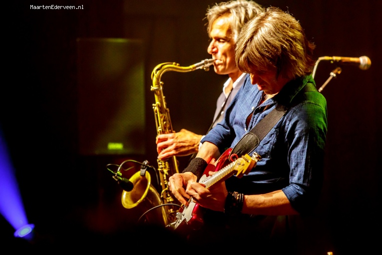Foto The Dire Straits Experience op The Dire Straits - 5/11 - Paard