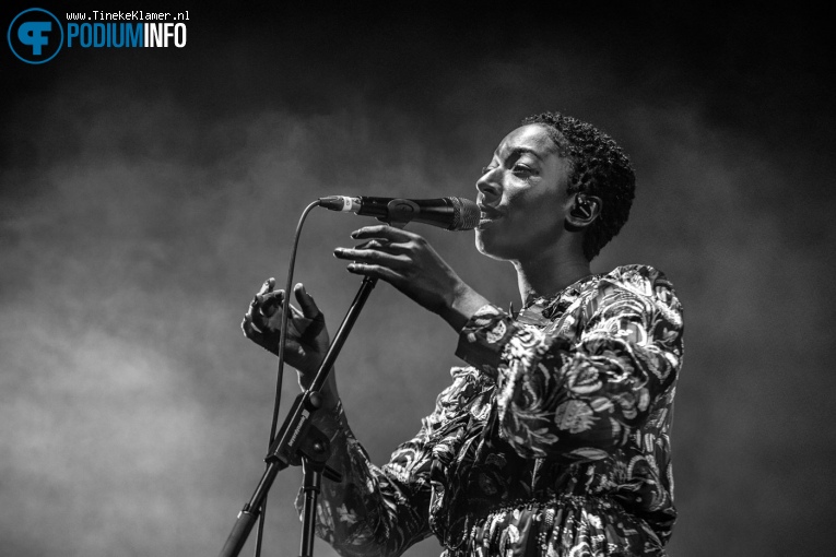 Bonobo op Bonobo - 16/11 - AFAS Live foto