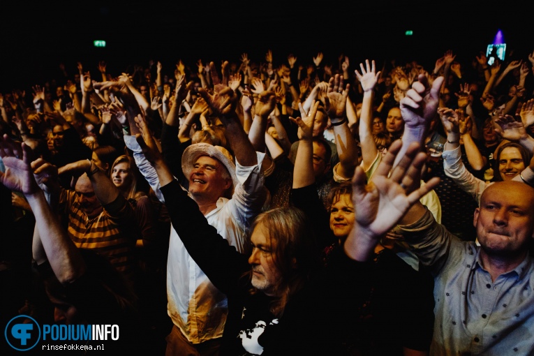 My Baby - 25/11 - Hedon foto