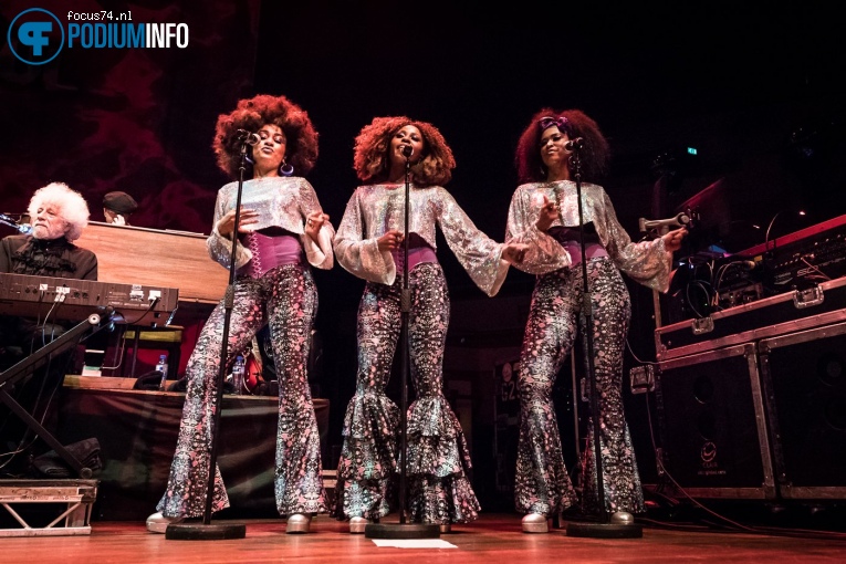 Little Steven & The Disciples of Soul op Little Steven & The Desciples of Soul - 28/11 - TivoliVredenburg foto