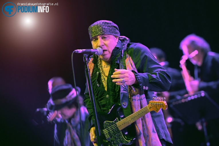 Little Steven & The Disciples of Soul op Little Steven & The Desciples of Soul - 30/11 - 013 foto