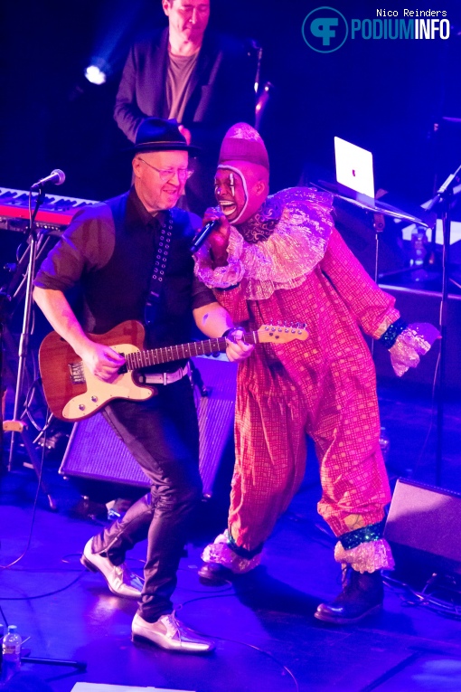 Celebrating David Bowie - 17/1 - TivoliVredenburg foto