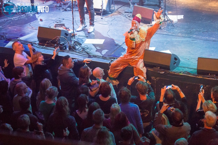 Celebrating David Bowie - 17/1 - TivoliVredenburg foto