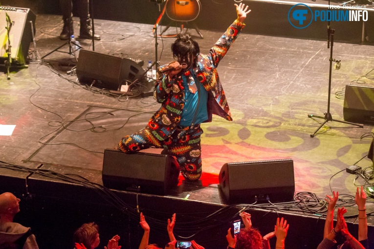 Celebrating David Bowie - 17/1 - TivoliVredenburg foto
