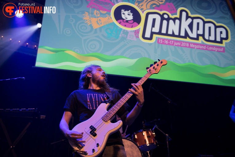 Foto Walden op Pinkpop Perspresentatie