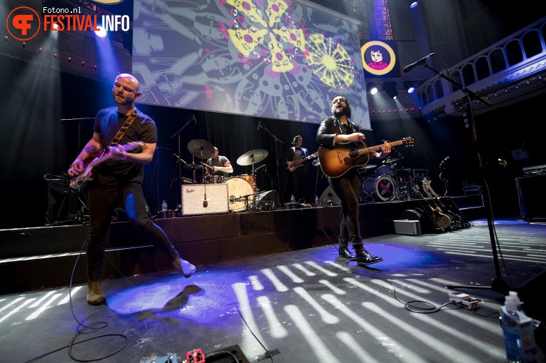 Pinkpop Perspresentatie foto