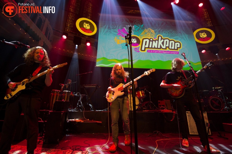 Foto Walden op Pinkpop Perspresentatie