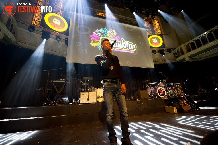Pinkpop Perspresentatie foto