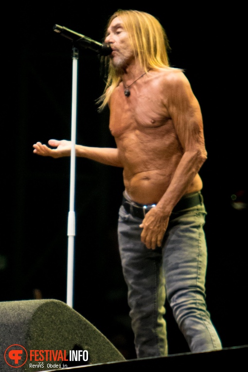 Iggy Pop op Paaspop Schijndel 2018 - Zondag foto