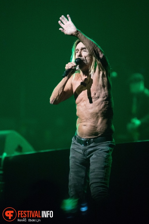 Iggy Pop op Paaspop Schijndel 2018 - Zondag foto