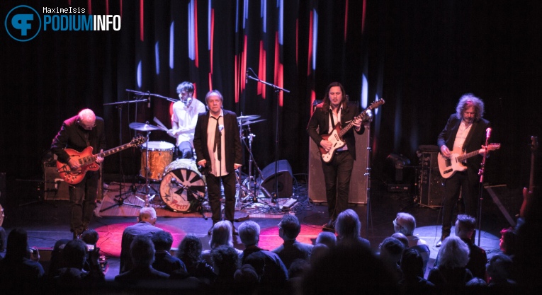 Foto The Pretty Things op The Pretty Things - 13/04 - Paard