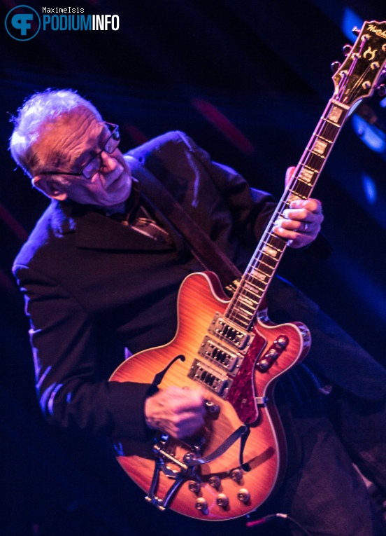 Foto The Pretty Things op The Pretty Things - 13/04 - Paard