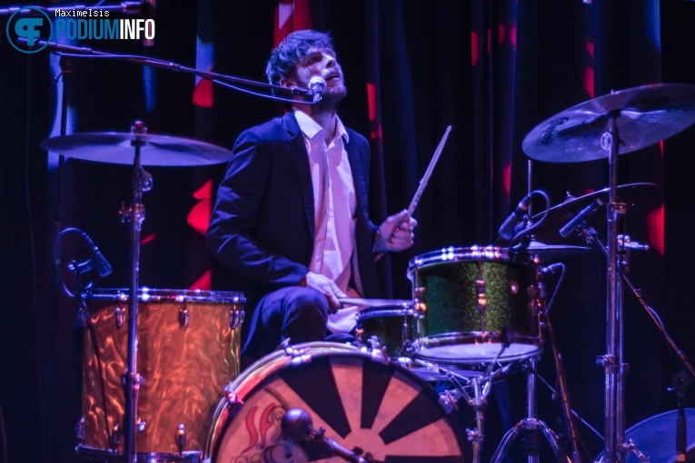 Foto The Pretty Things op The Pretty Things - 13/04 - Paard