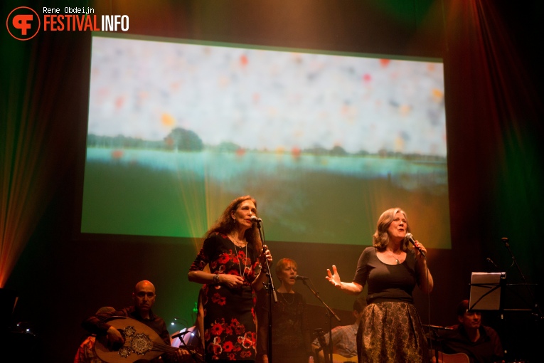 Foto Ad van Meurs tribute op Naked Song Festival 2018