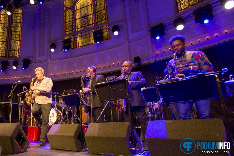 Jools Holland & His R&B Orchestra op Jools Holland & His R&B Orchestra - 14/04 - Paradiso foto