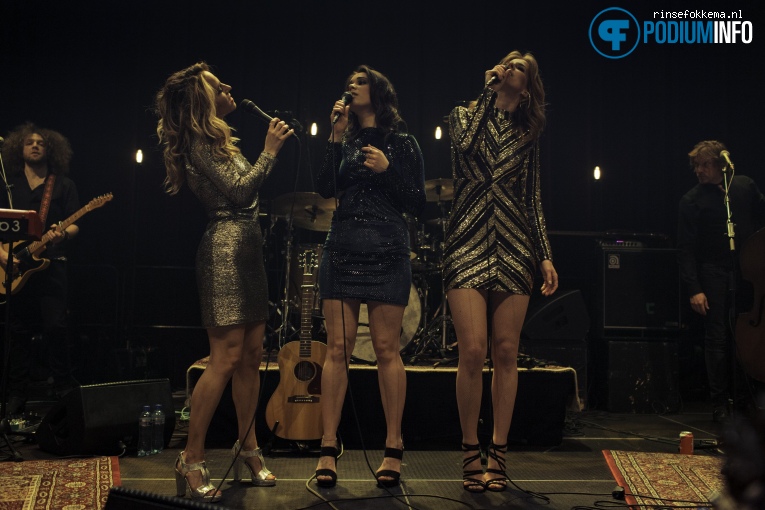 Foto The Bluebirds op The Bluebirds - 08/04 - TivoliVredenburg