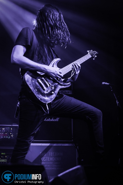Der Weg Einer Freiheit op Primordial - 13/04 - 013 foto