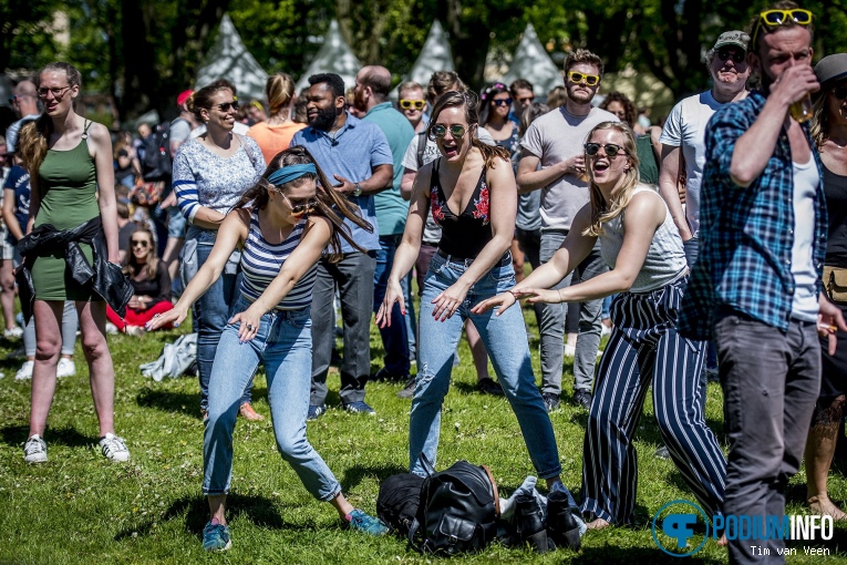 Bevrijdingsfestival Utrecht 2018 foto