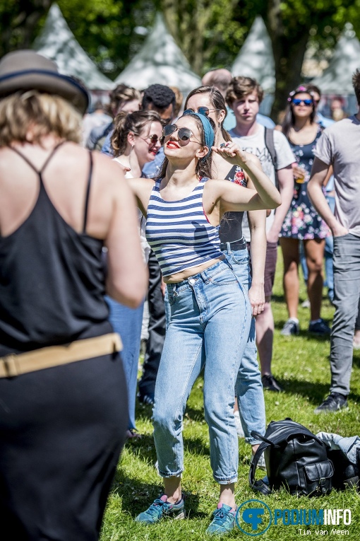 Bevrijdingsfestival Utrecht 2018 foto