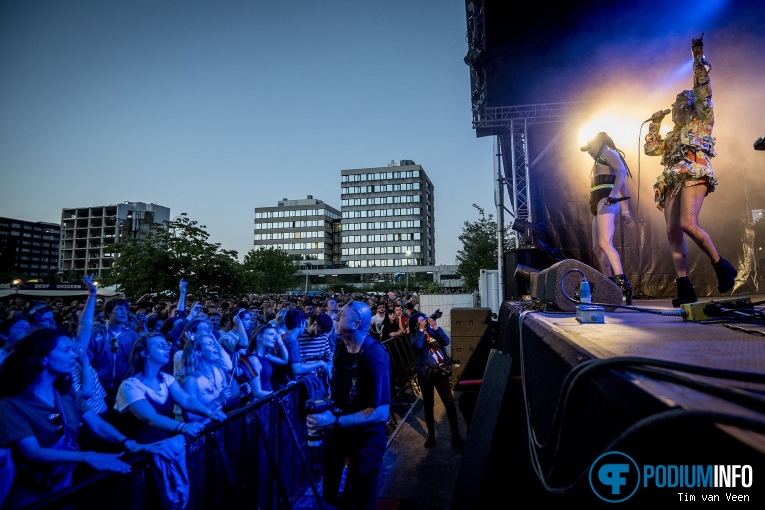 Fata Boom op Bevrijdingsfestival Utrecht 2018 foto