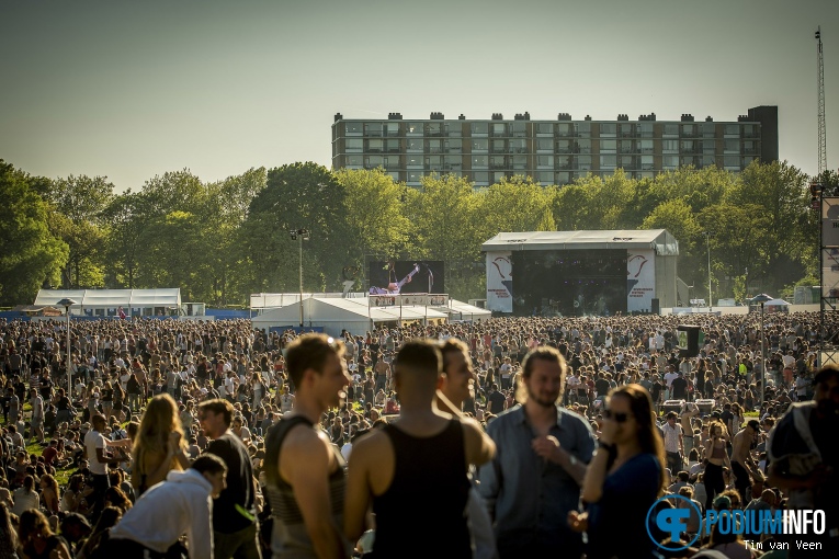 Bevrijdingsfestival Utrecht 2018 foto