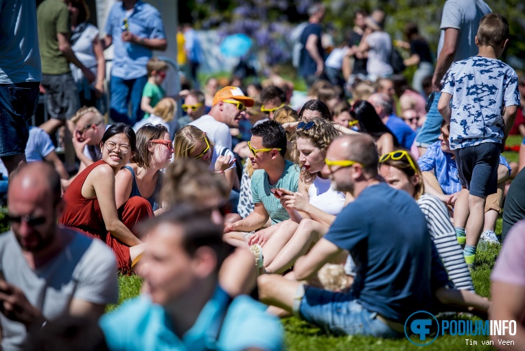 Bevrijdingsfestival Utrecht 2018 foto