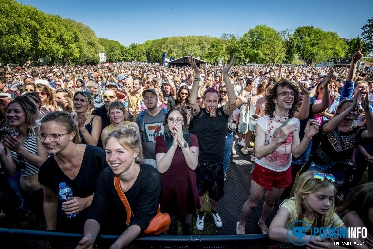 Bevrijdingsfestival Utrecht 2018 foto