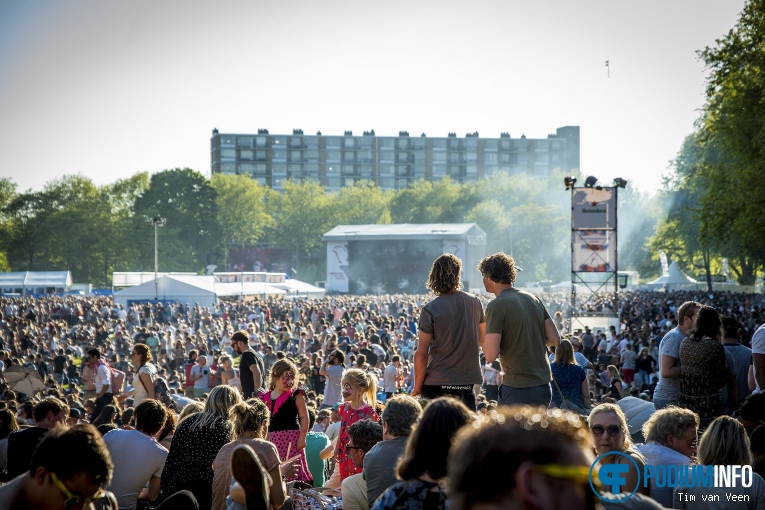 Bevrijdingsfestival Utrecht 2018 foto