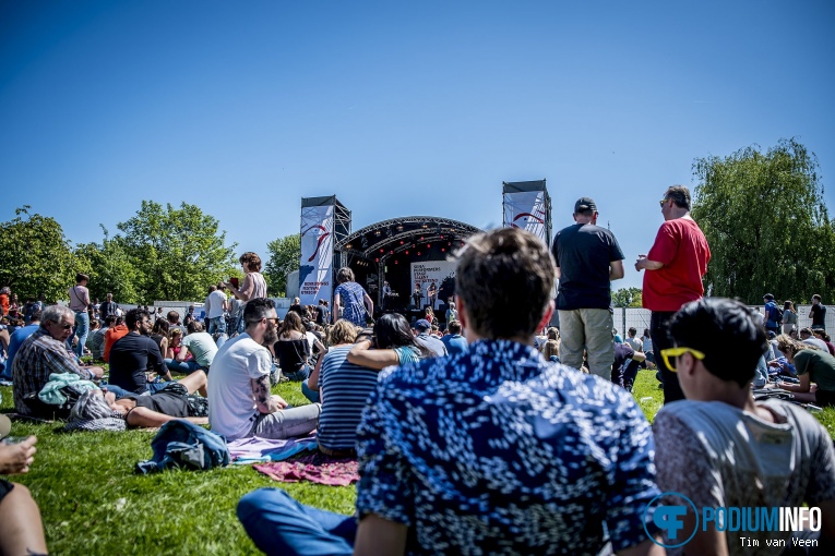 Luwten op Bevrijdingsfestival Utrecht 2018 foto