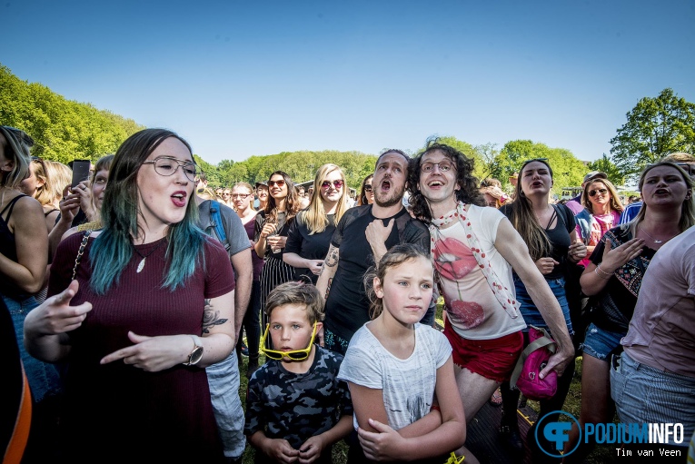 Bevrijdingsfestival Utrecht 2018 foto