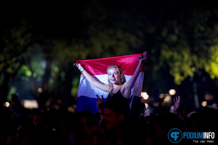 Fedde Le Grand op Bevrijdingsfestival Utrecht 2018 foto