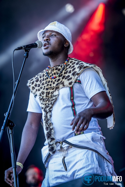 Soweto Soul op Bevrijdingsfestival Utrecht 2018 foto