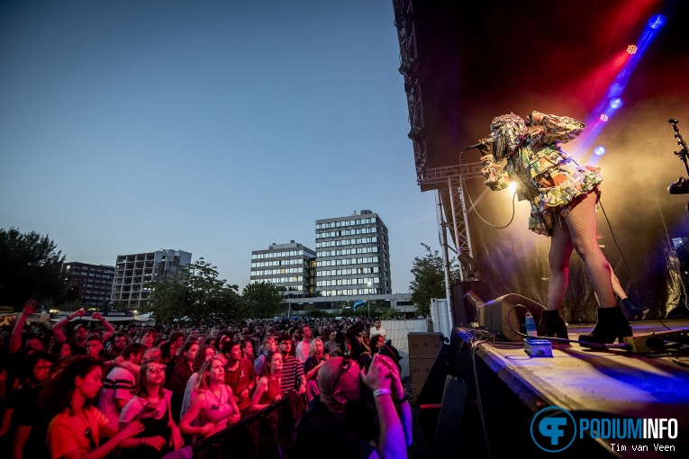 Fata Boom op Bevrijdingsfestival Utrecht 2018 foto