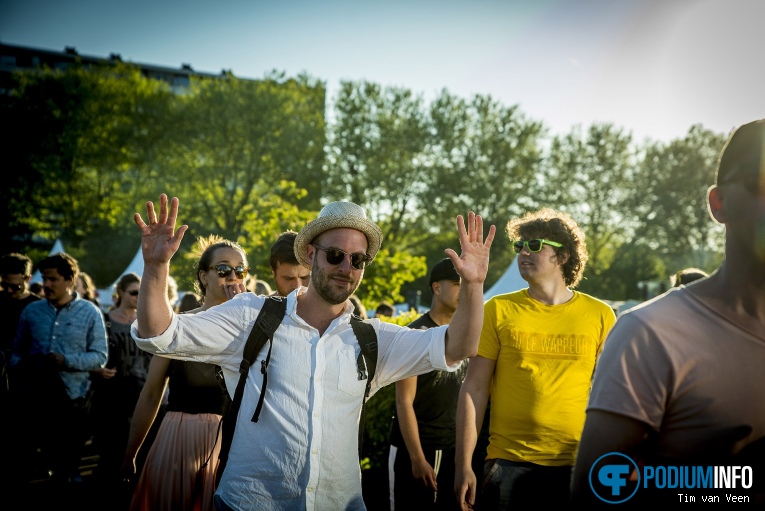 Bevrijdingsfestival Utrecht 2018 foto