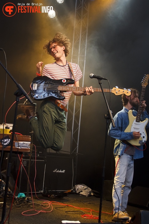 The Hazzah op Festival Aangeschoten Wild 2018 foto